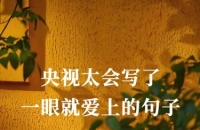 跟着央视练文笔