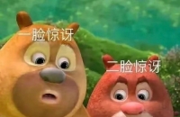 今天最好哪里都别去了